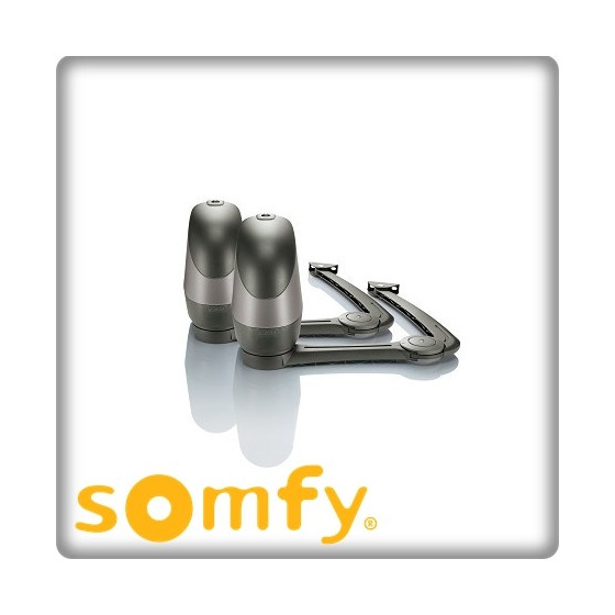Installation de motorisation à bras pour portails battants-SOMFY