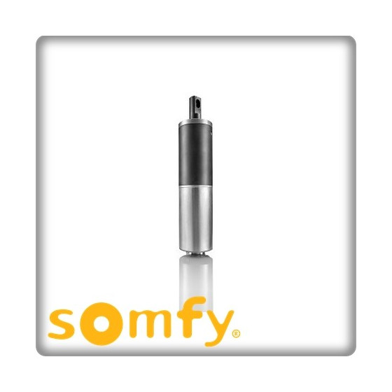Motorisation portail intégrée- INVISO SOMFY